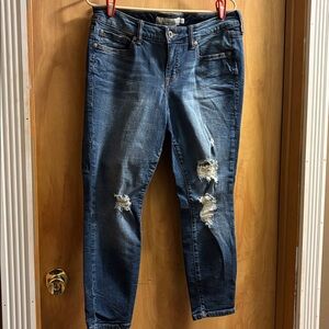 Torrid Denim Blue Jeans